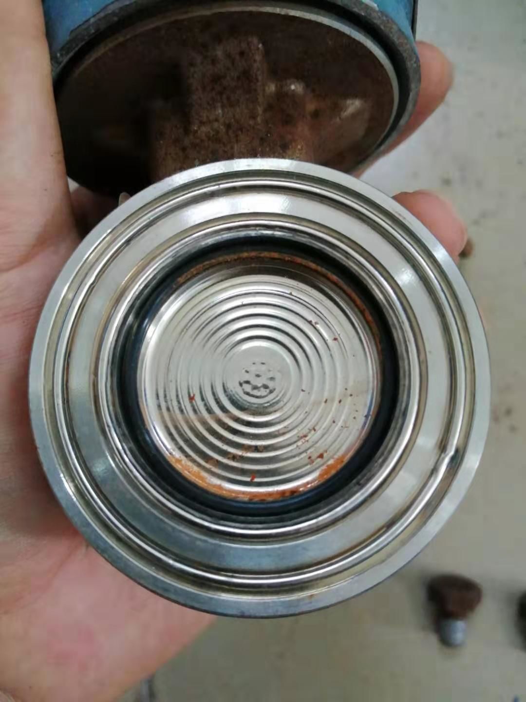 电容差压水蜜桃在线免费视频拆卸查看内部结构