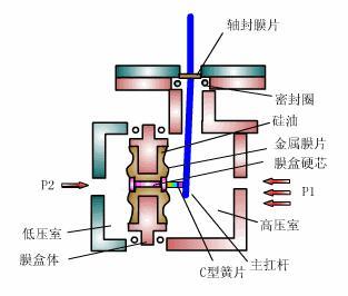 压力水蜜桃在线免费视频工作原理